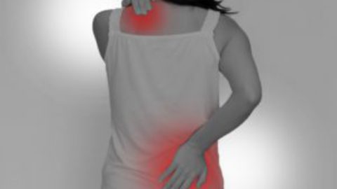 肩こり・腰痛の原因は腸内環境が影響しているかも？